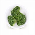 Hot sale freeze dried vegetables nutrition supplier freeze-dried broccoli with p 5