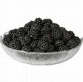 100% natural dried black mulberries health fruit dry mulberry