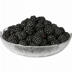 100% natural dried black mulberries