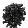 100% natural dried black mulberries health fruit dry mulberry 4
