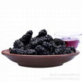 100% natural dried black mulberries health fruit dry mulberry 5