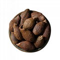 Dried malva nut herbal tea lychnophora sterculia dried pangdahai 