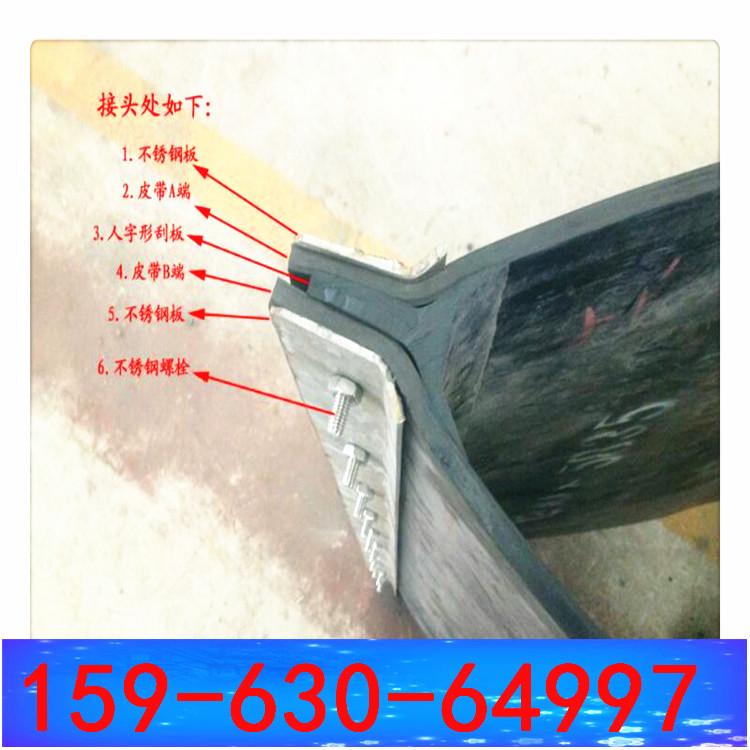 接头皮带 除铁器环形带b=800 4