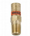 REGO安全阀 PRV9400系列黄铜安全阀不锈钢