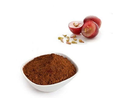 Pure Procyanidins 100% Organic Grape Seed Extract Powder Supplement