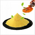 Sea Buckthorn Fruit Oil Powder 1