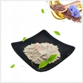 Flaxseed Oil Powder 1