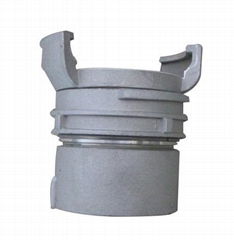 Guillemin Coupling