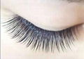 Dense row of single round hairs eyelash 3