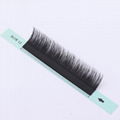 camellia grafting eyelash 2