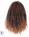  2020 fashion afro twist kinky braid for african women 2