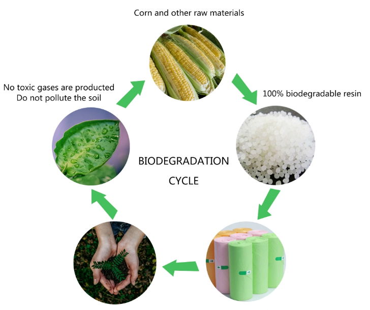 100% Biodegradable bag 3