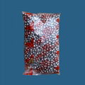 P-PELLETS 1