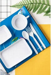 100% Biodegradable PLA Tableware For