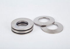 Corrosion Resistant Disc Springs