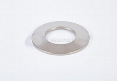 Cryogenic Disc Springs