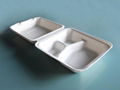 Taking-Away Food Tray 1