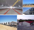 Portal Steel Structure Breeding Shed