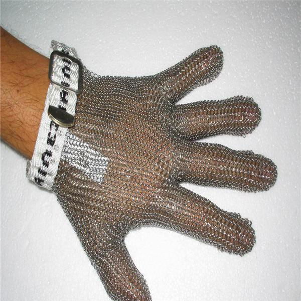 Stainless Steel Glove 2