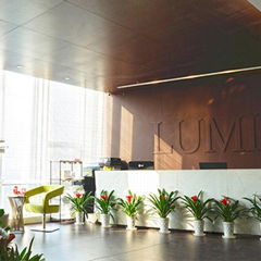 Lumi Legend Corporation.