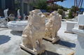 Natural yellow stone marble animal lion statue  1