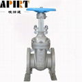 JIS 10K cast steel gate valve in the Middle East 1