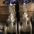 JIS 10K cast steel gate valve in the Middle East 4