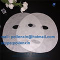 Dry Nonwoven Invisible Facial Mask Sheet or Invisible Mask Sheet 1
