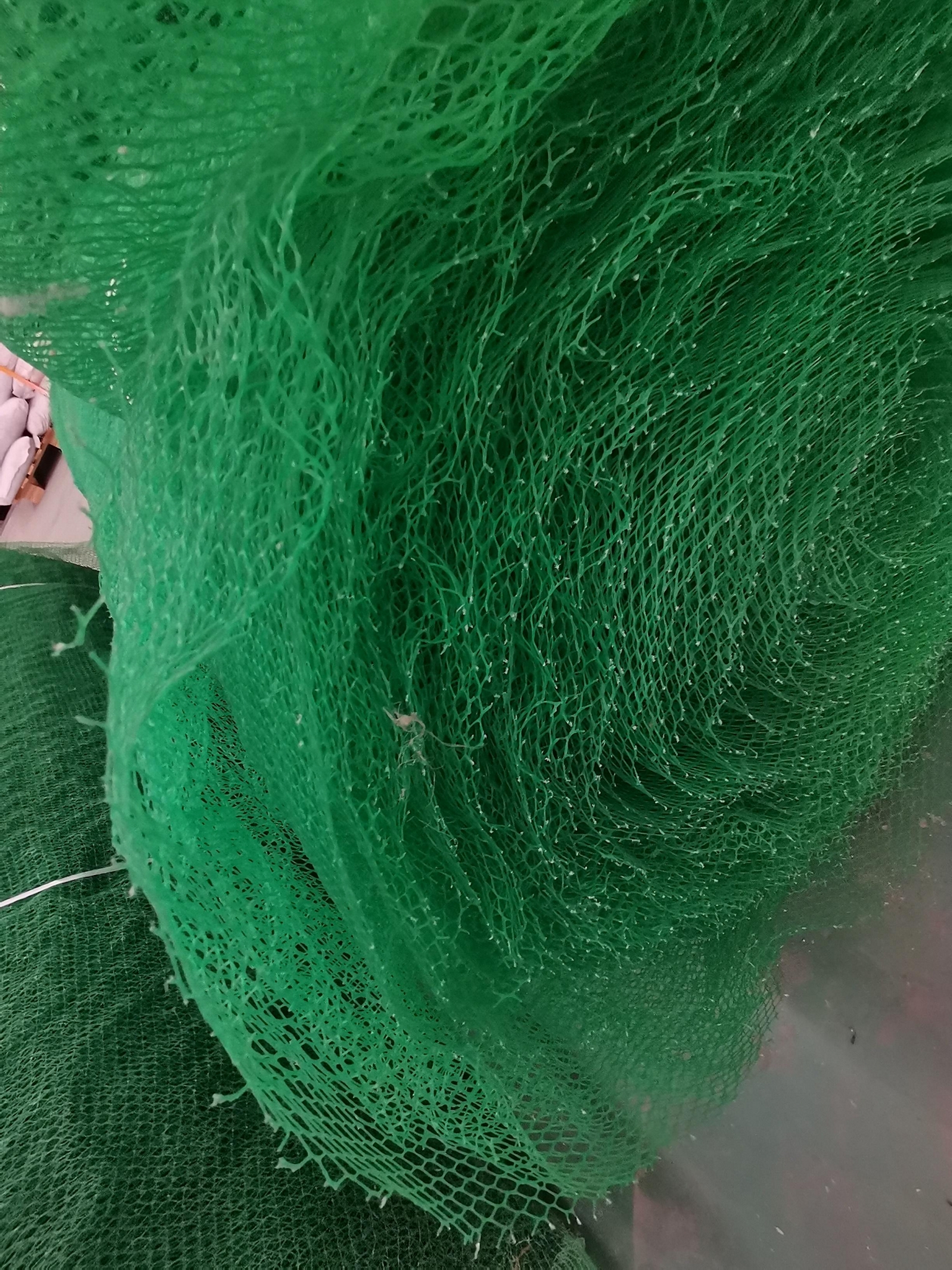 三維植被網固土網護坡蓋土網綠化土工格網邊坡植草網三維網  3