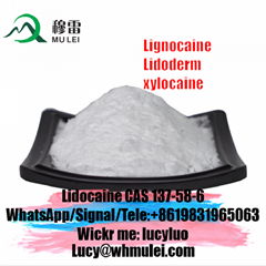 99% Local Anesthetic Pain Killer Drug Lidocaine Base CAS 137-58-6