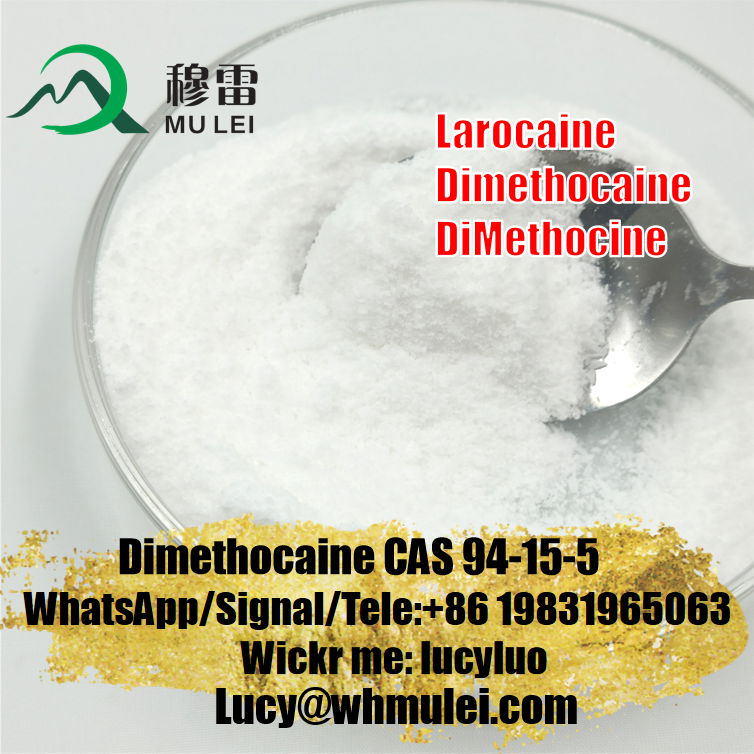 Anesthetic Pain Killer Drugs Larocaine Powder CAS 94-15-5 Larocaine