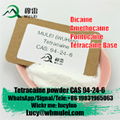 Supply Purity 99% Pain Reliever Local Anesthetic Powder Tetracaine CAS 94-24-6