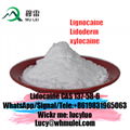 Lidocaine Pain Relleving 137-58-6 USA Warehouse Lignocaine Lidocaine Base