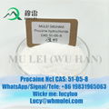 Procaine HCl CAS 51-05-8 Procaine