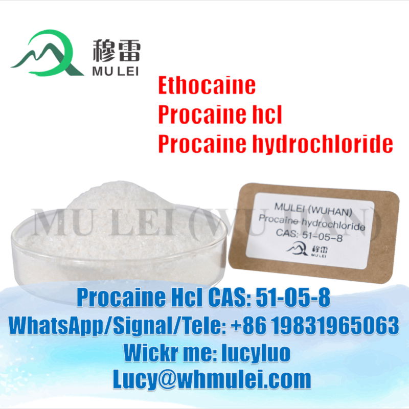 Procaine HCl CAS 51-05-8 Procaine Hydrochloride Raw Powder 2