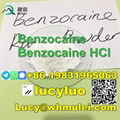 High quality CAS94-09-7 Benzocaine With best price and safe dlivery 3