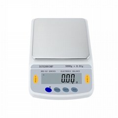 Teaching scale Industrial weighing scales