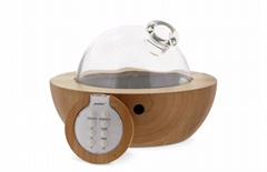 Ultrasonic humidifier aroma diffuser solid wood remote control
