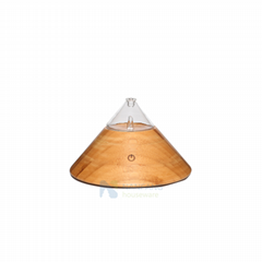 Elegant design Essential oil diffuser nebulizer with LED warm light