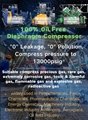 4L-20/9 Industrial coal gas Compressor oil free Reciprocating compressor 400 bar