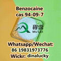 Benzocaine cas 94-09-7 Door to Door