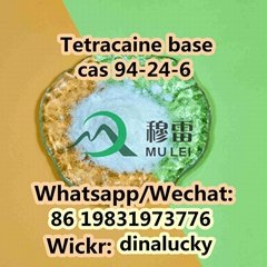 Tetracaine cas 94-24-6 China Factory Supplier 