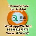 Tetracaine cas 94-24-6 China Factory Supplier  4