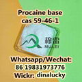 Procaine powder price cas 59-46-1 100% custom clearance 1