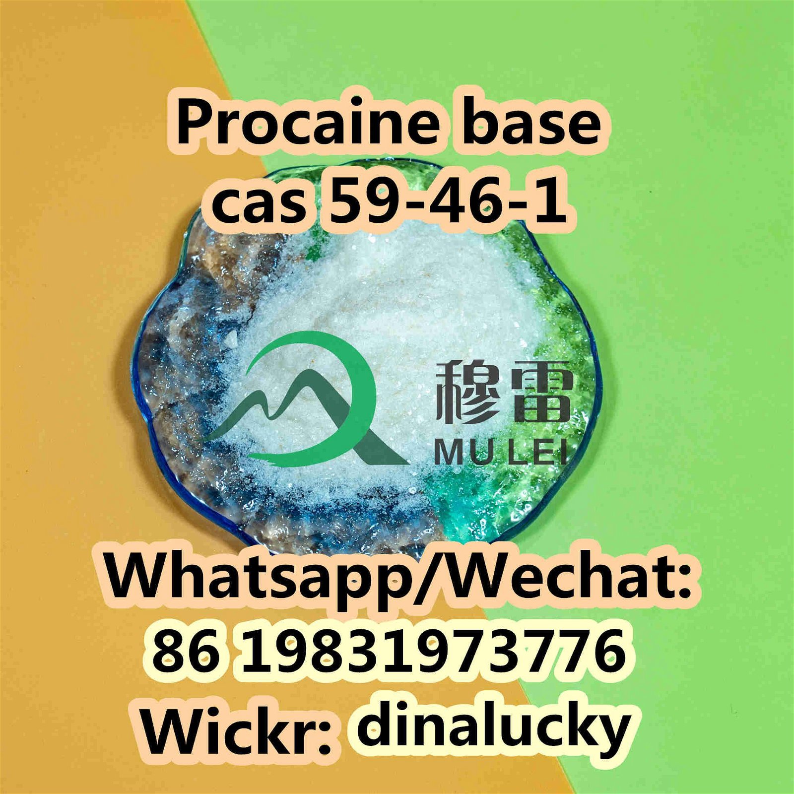 Procaine powder price cas 59-46-1 100% custom clearance 3