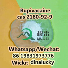 High Quality Bupivacaine cas 2180-92-9 Raw Materials