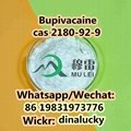 High Quality Bupivacaine cas 2180-92-9 Raw Materials  2