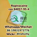 Organic Chemical Ropivacaine cas 84057-95-4  1