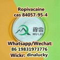 Organic Chemical Ropivacaine cas 84057-95-4  2