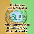 Organic Chemical Ropivacaine cas 84057-95-4  4